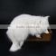 wholesale quality soft toys battery operated animated cats