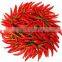 Fresh Chilli- Good quality Spices for cooking