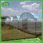 Multi-span film greenhouse for agriculture farming