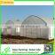 Searea Economical Single Tunnel Greenhouse