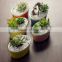 New design ship shape colorful ceramic flower pots for livingroom