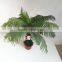 SJ3001023 Nice quality plastc leaf for home decorations/fake Boston Fern leaves