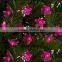 Waterproof artificial high quality new year holiday Christmas led string lights flower