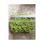20cm*25cm decorative home decor artificial moss landscaping factory vertical green concrete steel wire mat wall pieces ZM09 2304
