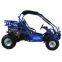 TrailMaster 300 XRX Dune Buggy
