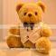 guangdong factory custom various plush teddy bear toys hotel gifts waiter teddy bear