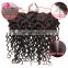 Wholesale Factory Price Brazilian Hair curly wave ear to ear lace frontal