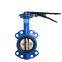 concentric wafer butterfly valve