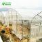 Low Cost Mini Greenhouse Used For Sale
