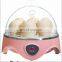 Low Price Small Scale Good Quality Egg Incubator/Hatchery For Family Use