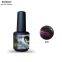 RONIKI 3D Cat Eye Gel Polish,Cat Eye Gel,Cat Eye Gel Polish,Cat Eye Gel Wholesaler