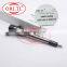 ORLTL Common Rail Fuel Injection 0 445 110 493 0445110493 Fuel Injector 0445 110 493 Diesel Injector for Jianghuai