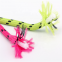 New Fashion Custom Running Round Polyester boot Shoelaces