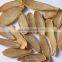 Fine Quality Cucurma Aromatica Powder For OEM