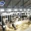 Modern Stable Finished Cowshed House Prefabricated Light Steel Structure Cowshed Warehouse Building
