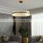 Modern Led Crystal Chandelier Glass Hanging Lighting Decor Indoor Home LED Pendant Lamp