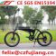 2014 new design 250W 350W electric bike e bike CE SGS EN15194(FJ-TDM02)