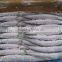 seafrozen pacific saury wr