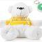 New plush Custom glow in the dark bear toy/ Plush Glow In Teddy Bear