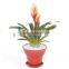 100% Biodergradable Bamboo Fiber Flower Pot