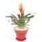 100% Biodergradable bamboo fiber flower pot