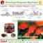 Automatic continuous floating fish food processing equipment