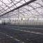 Greenhouse multifunction 2,5 to 3 meters gutter height