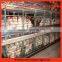 Excellent quality low price commercial chicken house