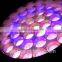 37pcs 12W RGBW zoom moving head disco led stage light