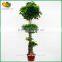 Hot sale artificial money plant tree plastic artificial money tree