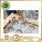 coil zig zag spring for sofa seat