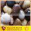 2015 hot slae natural smooth mixed pebble for playground