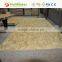 OSB-1 OSB-2 OSB-3 OSB Board in Sale