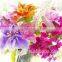Fresh Flower And Fruity Fragrance Oil For Female Shampoo