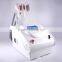 Two Handle Double Cooling Systerm Frozen Slimming Cellulite Removal Machine beauty equipment