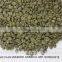 VIETNAM ARABICA GREEN COFFEE BEANS- The best price