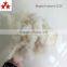 History lowest price !!!!!!!!Scoured fine white wool noils