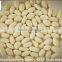 blanched peanut 2013 crop/blanched peanut 25/29 2013 crop/blanched peanut sliver