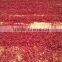 Dried vegetables top quality chilli elongated chili threads