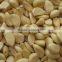 Deskin Type Garlic / Shallot Peeling / Peeler Machine Small Garlic Skin Removal Machine with stainless steel