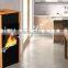 Heater Biomass Stove Wood Fireplace