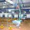 Automatic Pan Poultry Feeding System