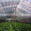 green shade net/ anti-insect net