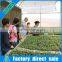 Hot dip galvanized steel planting table greenhouse seedbed