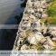 2015 top quality custom used gabion box