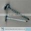 Galvanized Umbrella Head Roofing Nails