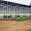 commercial greenhouse