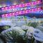 MarsHydro Marsii Led grow light 60 120cm bar full spectrum led grow light