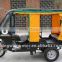 Chongqing Petrol Powered Rickshaw Tricycle with Canopy for Adult/Piaggio Three Wheeler Price