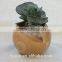 Sphere Succulent Air Plant Planter Wood